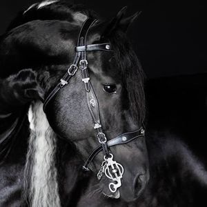 Meet your Posher, Cassandra